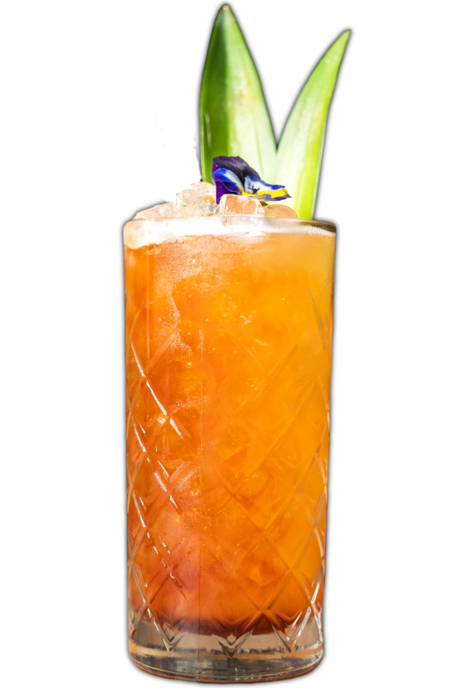 Negrita Mai Tai | Negrita